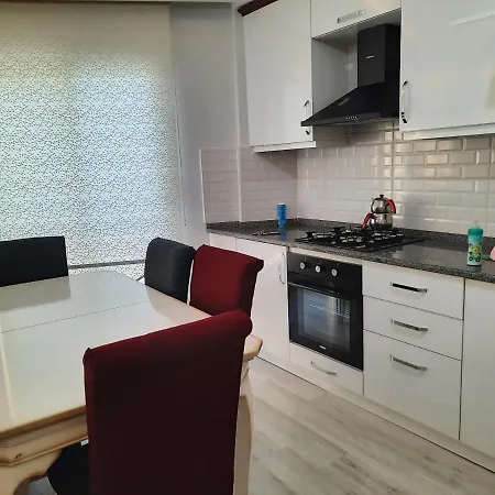 Apart דירה דלמן